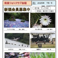 7月号　会報