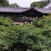 京都ロングステイ⑩