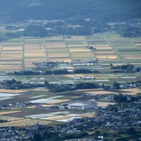 （再）熊本「春スイカ」