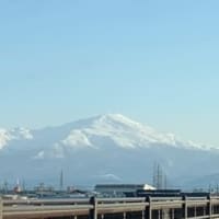2月1日の朝