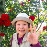 バラ園🌹