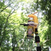 壁にできたアシナガバチの巣を駆除