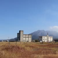 お久しぶりです。
