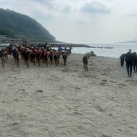 海練習1回目