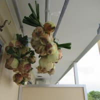 引き合わせ