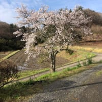 無事に🌾の種まき終わりました
