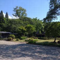 飛騨市にようやく行けた思い出