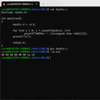 【C言語】double型変数が値をどのように保持？しているかです