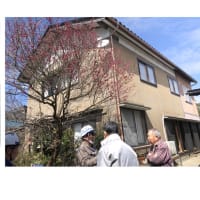 今日いち-2025年4月3日　地震家屋解体①