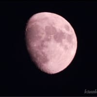 パソコン復活しました。
