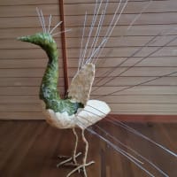 制作中のクジャク