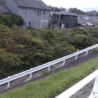 過ごしやすい季節になりました