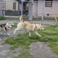 ガッカリだ〜