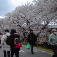 GW・・・土湯温泉・米沢・松島