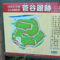 【続百名城】菅谷館