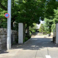 ２０２４年六月の薬師詣で・中野区