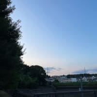 最近雨続きだったので油断していた