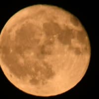 最も低い赤い十六夜…
