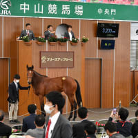 JRA日本中央競馬会購買馬(74頭)とホームブレッド(9頭)の育成牧場内訳について