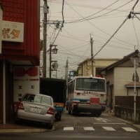 国東観光バス　麦秋と水張り　2007-06-02