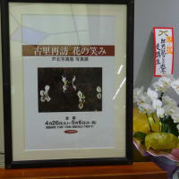 写真展