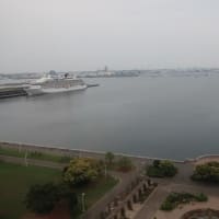ホテルニューグランド　14　（神奈川県横浜市中区）
