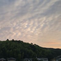 ヤブカンゾウの空