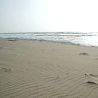 なき砂の浜