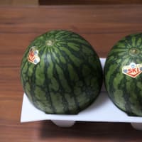 刈谷市名産スイカ
