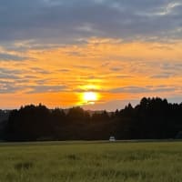 国民の生活をどうしてくれるのだ