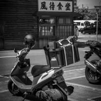 本日の写真
