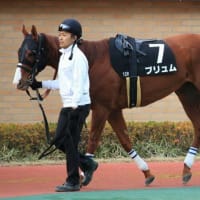 引退までの設計図