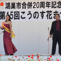鴻巣花まつり「鴻巣ポピー2025」