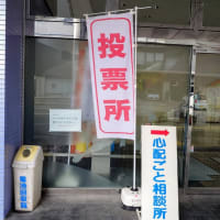 “期日前投票”