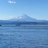 江島神社と龍口明神社
