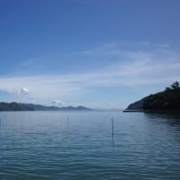 とびしま海道　夏の風景とシンプルなカレー