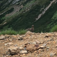 2024年夏、入山3日後にやっと山頂に立ちました！