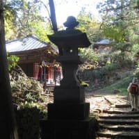 秋保N・W道行会ー梁川希望の森を歩く