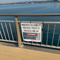 2月1週目のダイエット報告、最近の釣り場情報