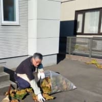 私の目利きは如何ほど？？？