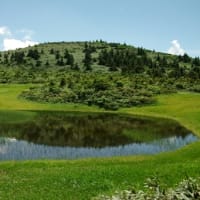 ２０２５年７月９日　北八甲田　田茂萢岳のようす