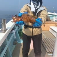 教の釣りには、狂気が必要でした。