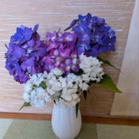 手が痛くて目が覚めた