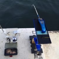 ワカサギ釣りリベンジ釣行のリベンジですが・・・