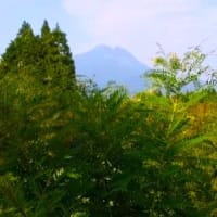 夏風の色／夏の草原に自生する「クララ」で黄色と鶯色を染めるワークショップ　【空想の森の草木染め＜109＞】