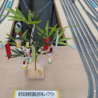 6月28日開催の救済運転会に関する情報 