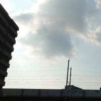 今日の博多３４９　【テスラ一人負け】