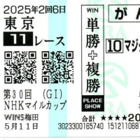 2025年　橘S、メトロポリタンS、谷川岳S、平城京S、NHKマイルC　反省