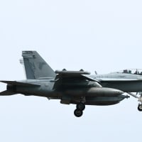 キター！2年ぶりのCVW-5艦載機２　Chippyは4機も。