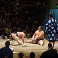 大相撲トーナメントを観てきました